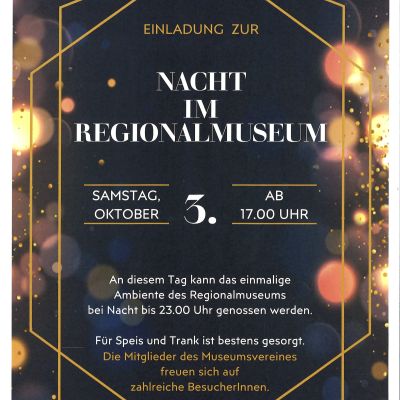 Plakat für Nacht im Regionalmuseum